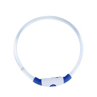 LED Light Up Dog Collar – USB Rechargeable, Night Safety