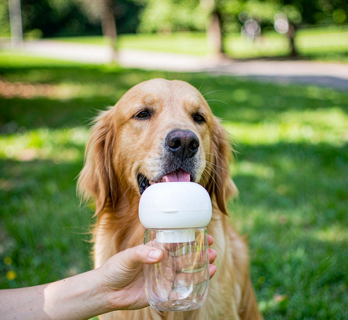 Dog Walking Water Bottle - Leak-Proof Travel