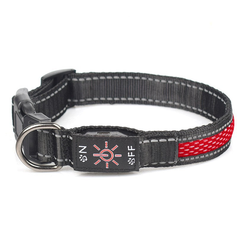 LED Light Up Dog Collar – USB Rechargeable Glow Collar for Night Safety
