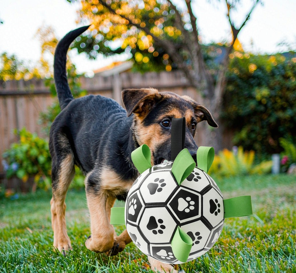 Dog Football Training Ball - Inflated Soft