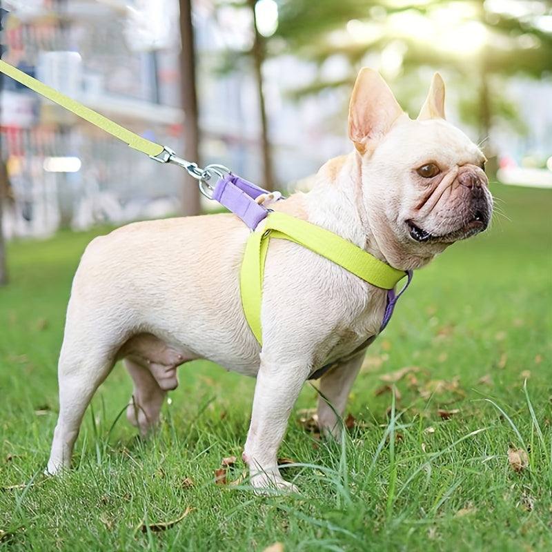 Rainbow Dog Harness & Leash Set – Colorblock Vest
