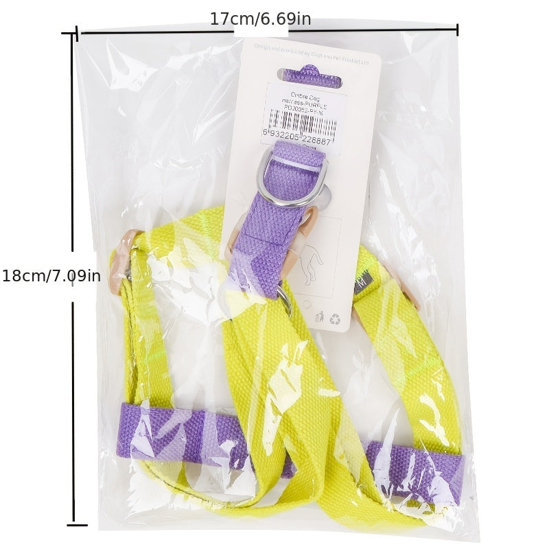 Rainbow Dog Harness & Leash Set – Colorblock Vest