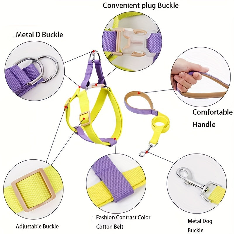 Rainbow Dog Harness & Leash Set – Colorblock Vest