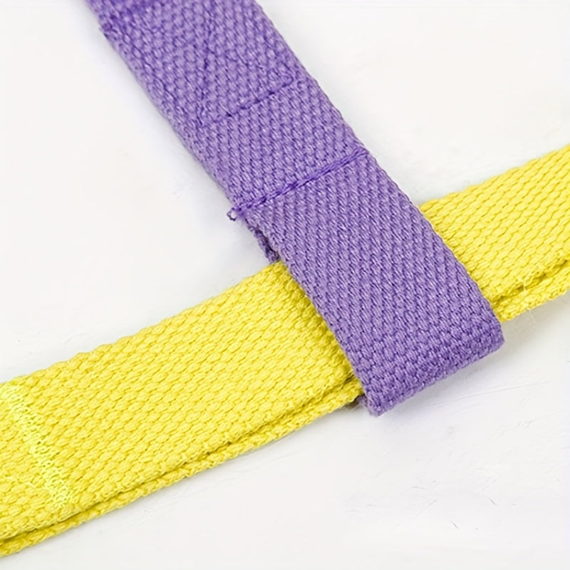 Rainbow Dog Harness & Leash Set – Colorblock Vest