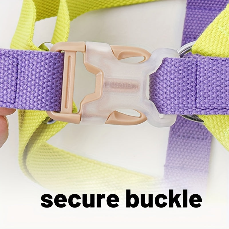 Rainbow Dog Harness & Leash Set – Colorblock Vest