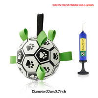 Dog Football Training Ball – Inflated Soccer Fetch Toy