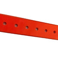 Waterproof Dog Collar – Odor-Resistant, Adventure-Ready