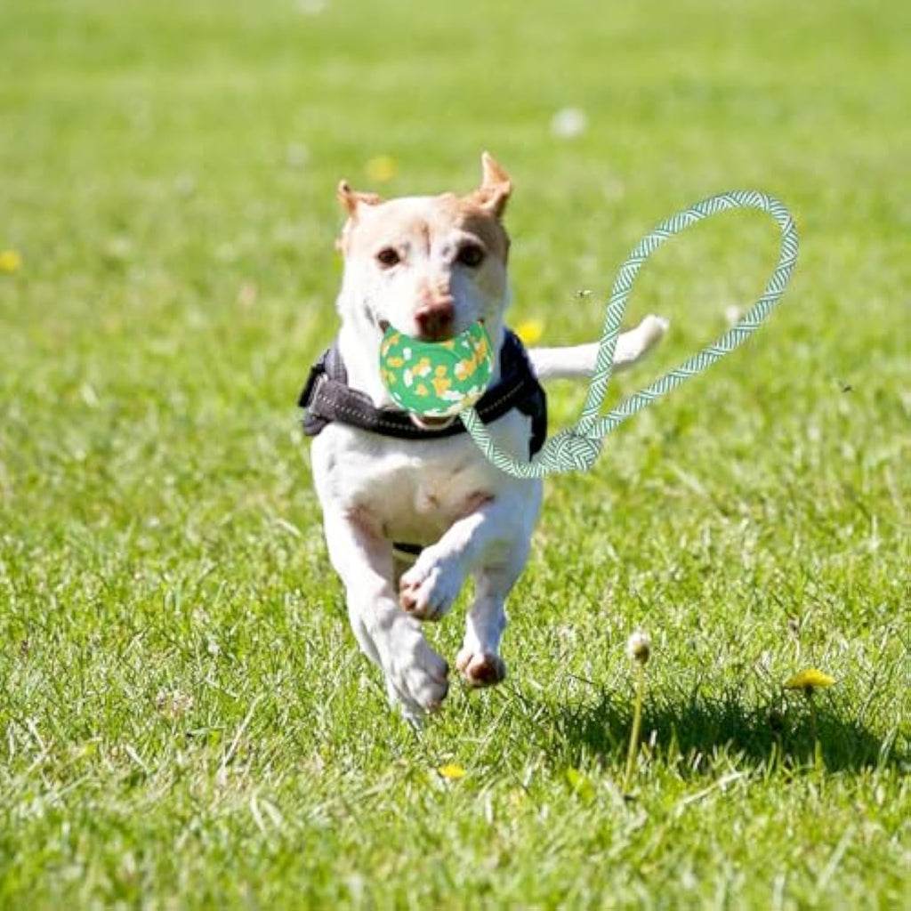 Ball-on-Rope Dog Tug Toy – Durable Chew & Fetch Combo