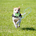Ball-on-Rope Dog Tug Toy – Durable Chew & Fetch Combo