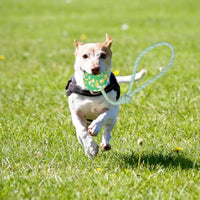 Ball-on-Rope Dog Tug Toy – Durable Chew & Fetch Combo