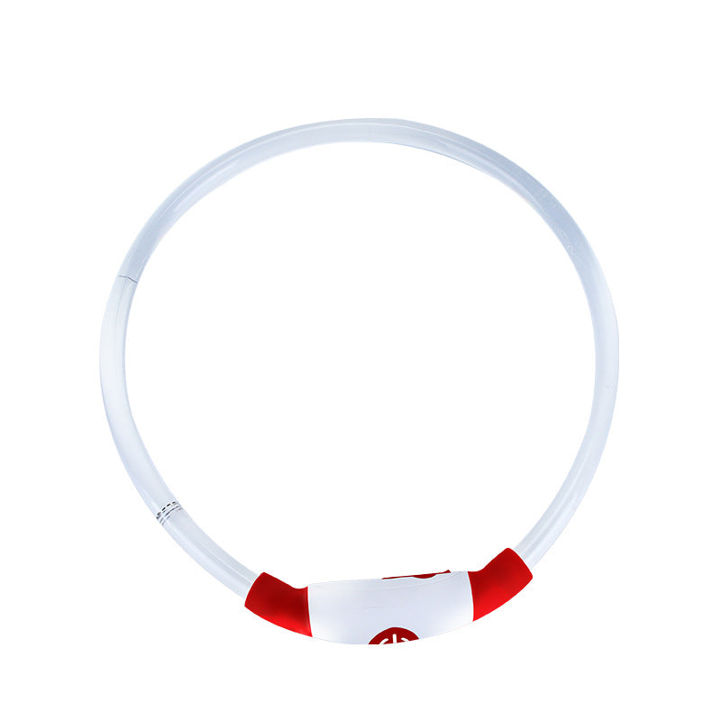 LED Light Up Dog Collar – USB Rechargeable, Night Safety