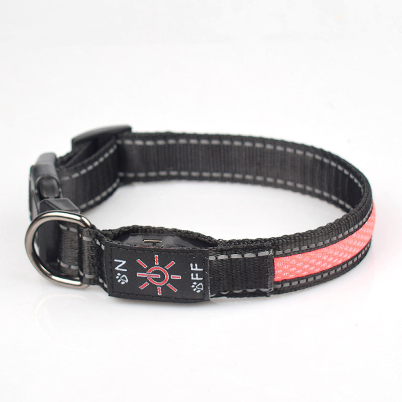 LED Light Up Dog Collar – USB Rechargeable Glow Collar for Night Safety