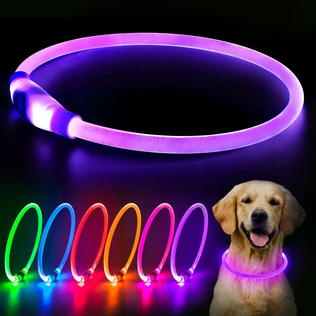 LED Light Up Dog Collar – USB Rechargeable, Night Safety