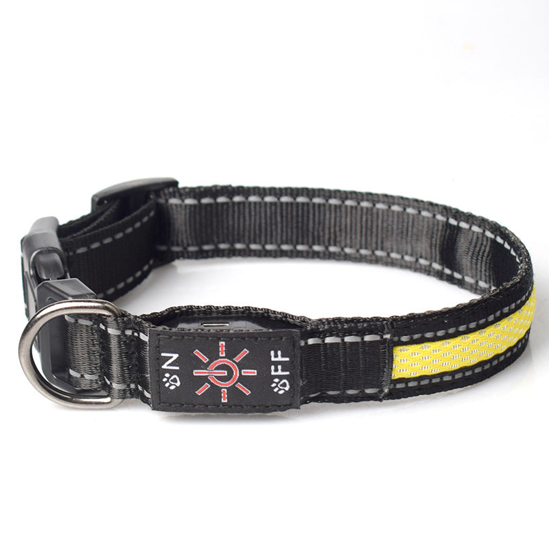LED Light Up Dog Collar – USB Rechargeable Glow Collar for Night Safety