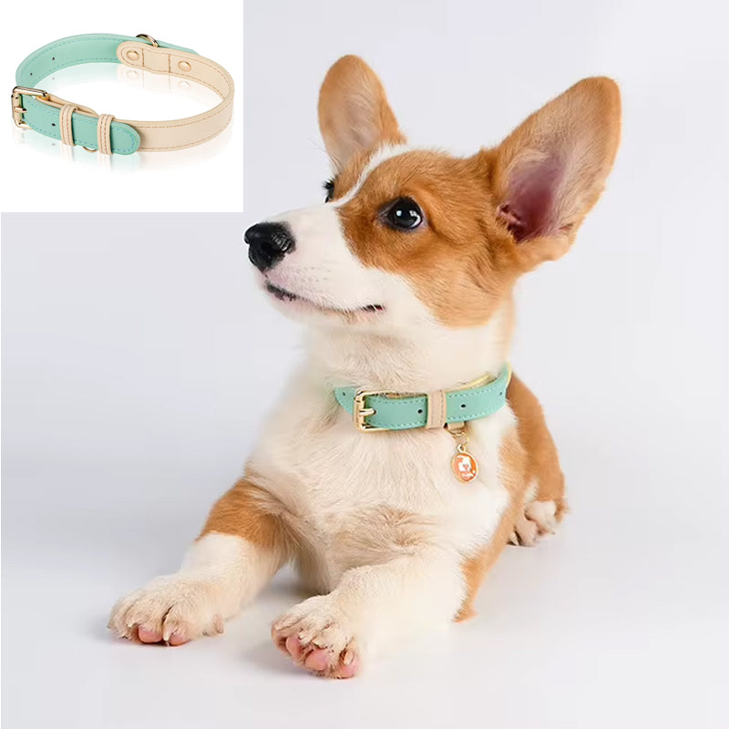 Genuine Leather Dog Collar – Handcrafted, Padded