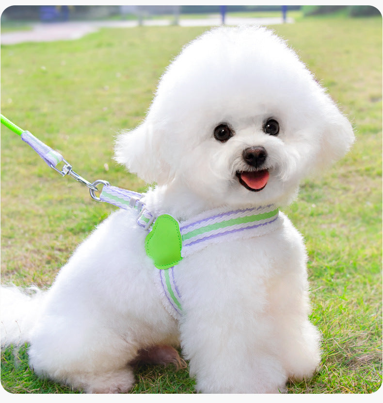 Breathable Dog Vest Harness – Summer Mesh, Small-Medium