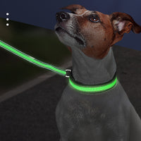 LED Light Up Dog Collar – USB Rechargeable Glow Collar for Night Safety