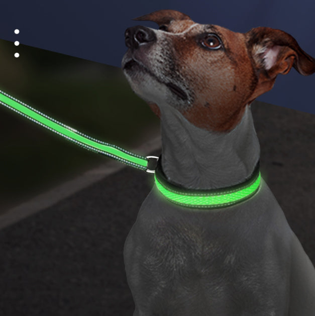 LED Light Up Dog Collar – USB Rechargeable Glow Collar for Night Safety