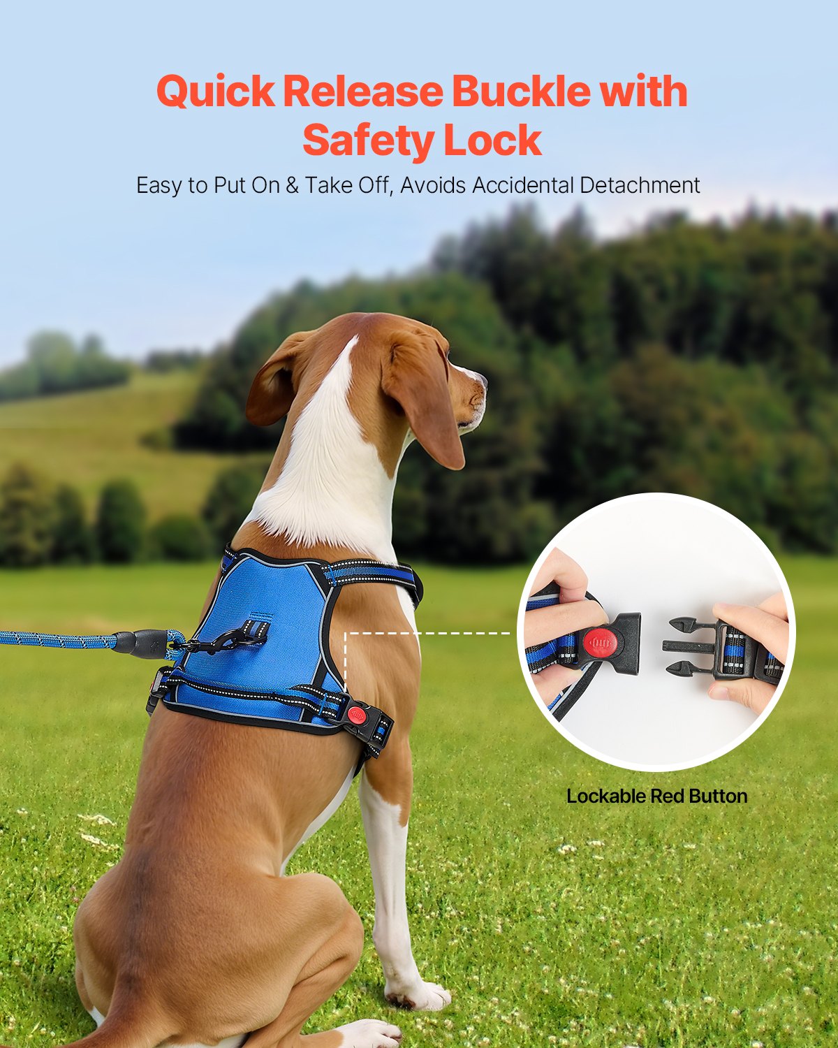No-Pull Dog Harness & Leash Set – Front Clip, Reflective