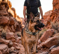 Tactical Dog Collar and Rope Set - Adjustable