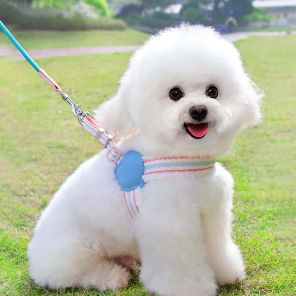 Breathable Dog Vest Harness – Summer Mesh, Small-Medium