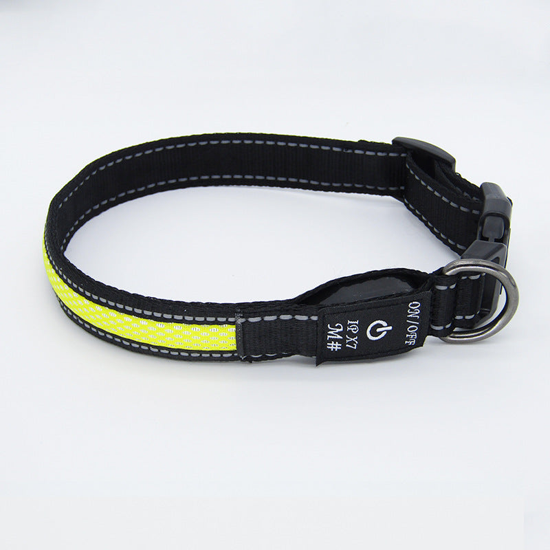 LED Light Up Dog Collar – USB Rechargeable Glow Collar for Night Safety