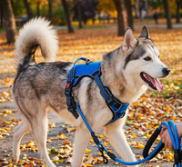 No-Pull Dog Harness & Leash Set – Front Clip, Reflective