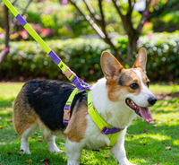 Rainbow Dog Harness & Leash Set – Colorblock Vest