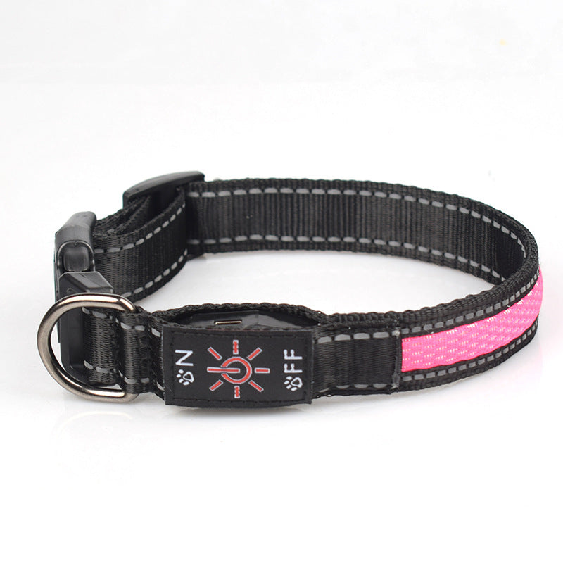 LED Light Up Dog Collar – USB Rechargeable Glow Collar for Night Safety