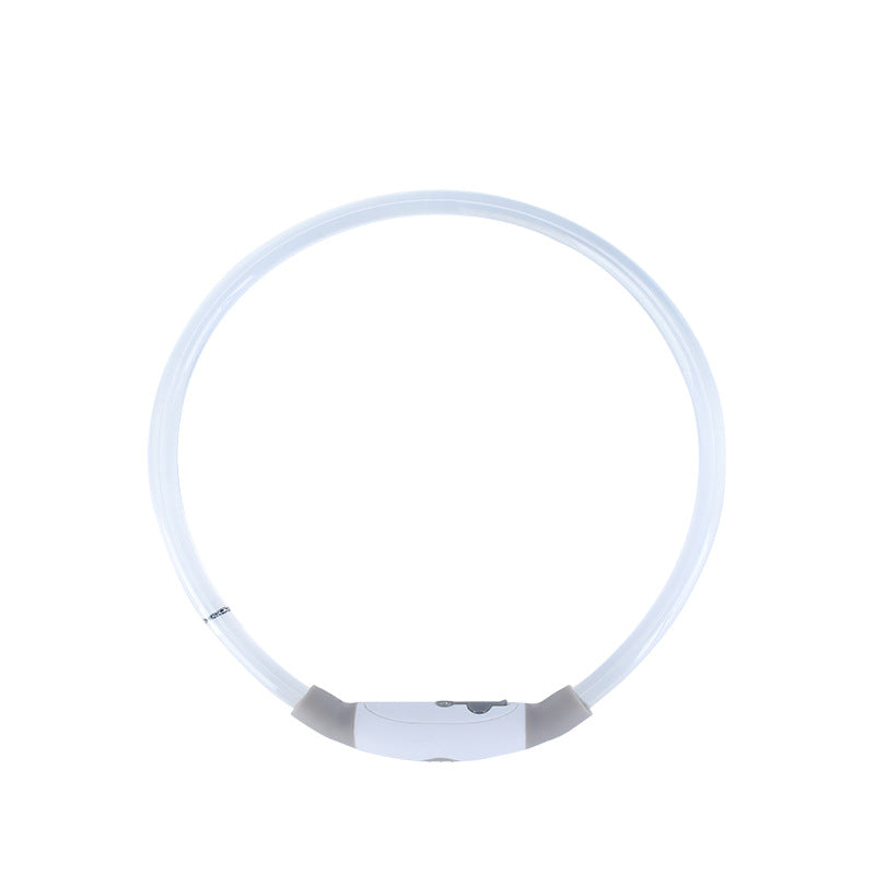 LED Light Up Dog Collar – USB Rechargeable, Night Safety