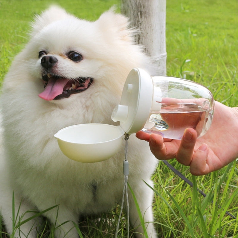Dog Walking Water Bottle – Leak-Proof Travel Bottle