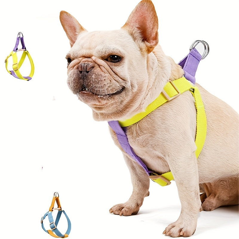 Rainbow Dog Harness & Leash Set – Colorblock Vest