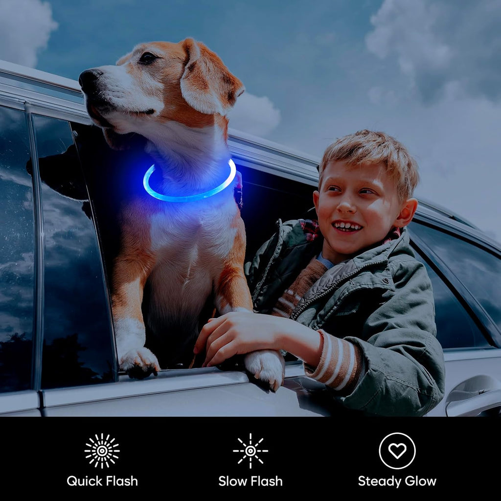 LED Light Up Dog Collar – USB Rechargeable, Night Safety