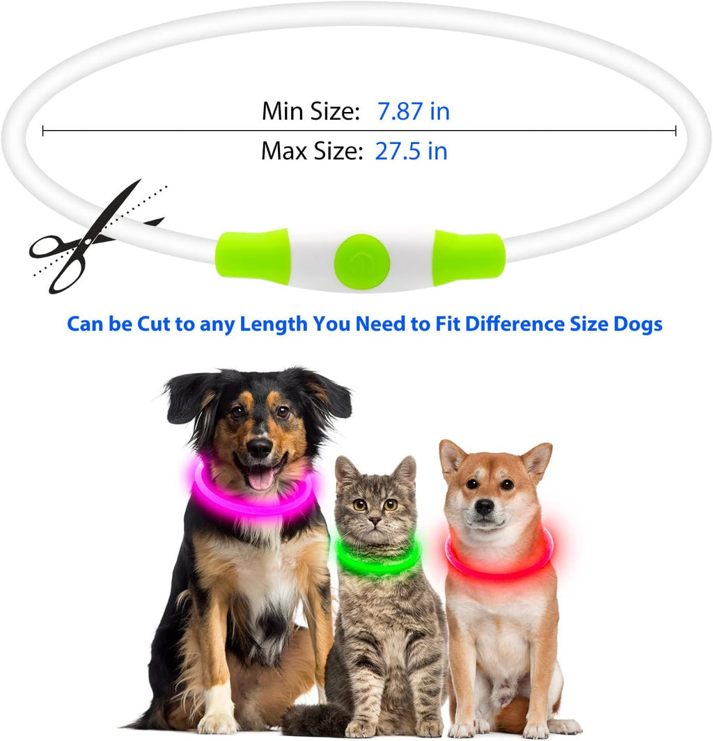 LED Light Up Dog Collar – USB Rechargeable, Night Safety