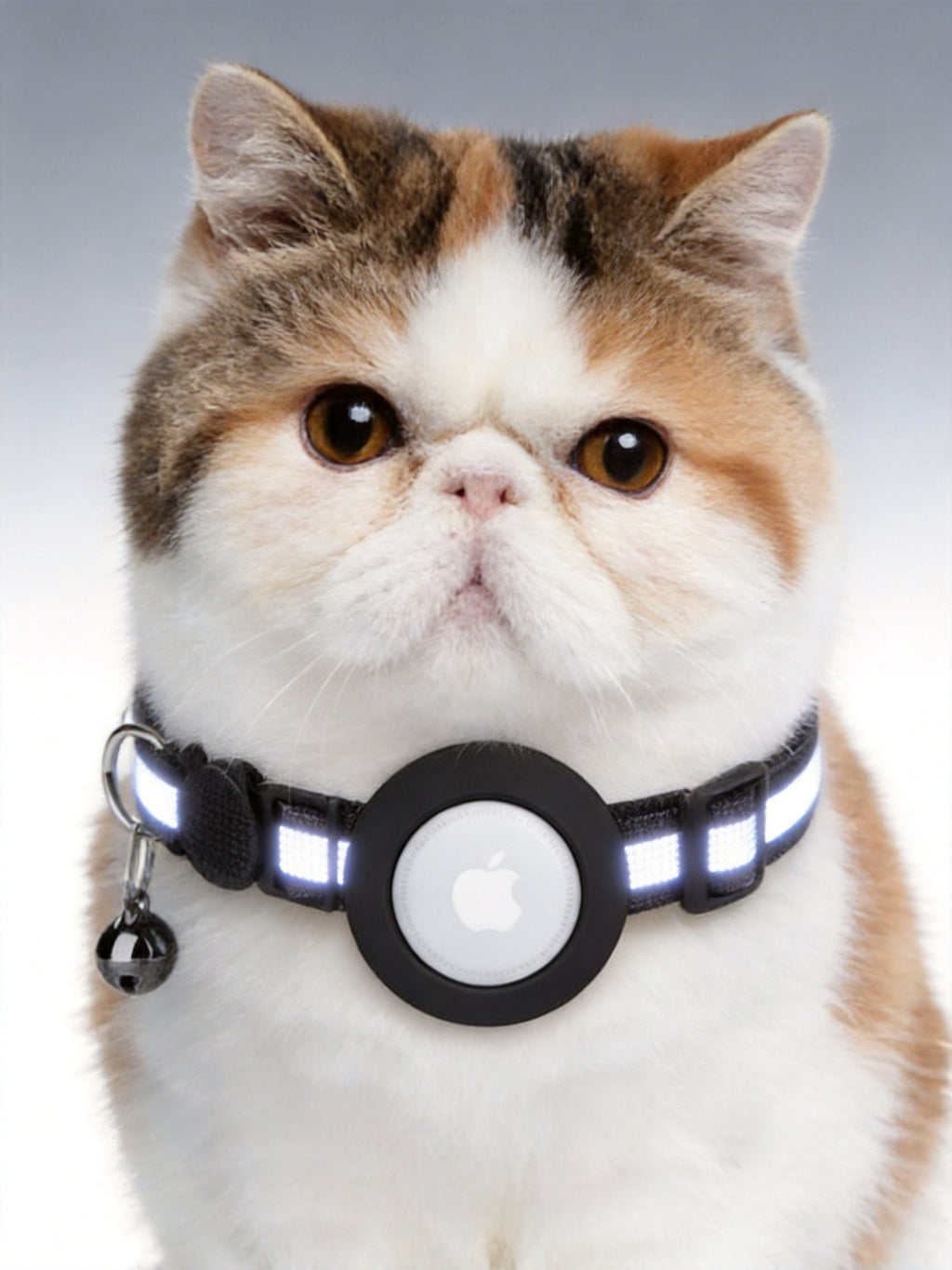 AirTag Dog Collar Holder – Reflective Waterproof Protective Case (AirTag Not Included)