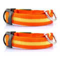 Duo Pack: 2x LED light up dog collars