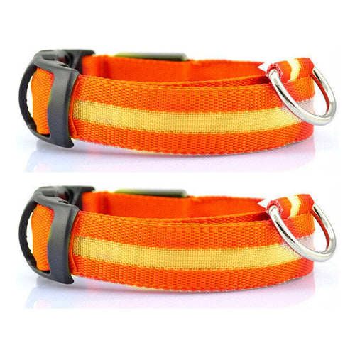 Duo Pack: 2x LED light up dog collars