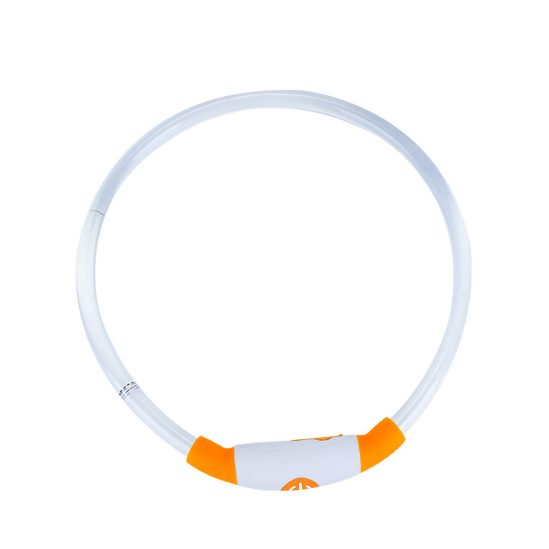 LED Light Up Dog Collar – USB Rechargeable, Night Safety