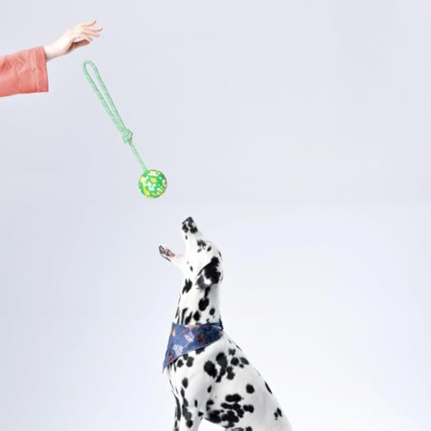 Ball-on-Rope Dog Tug Toy – Durable Chew & Fetch Combo
