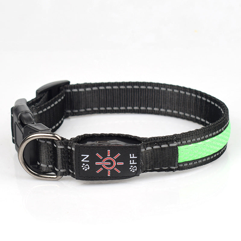 LED Light Up Dog Collar – USB Rechargeable Glow Collar for Night Safety