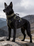 Tactical Heavy-Duty Dog Collar – Metal Buckle K9 Collar with Control Handle