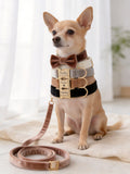 Velvet Dog Collar & Leash Set – Soft Bow Tie Collar with Gold Hardware