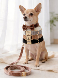 Velvet Dog Collar & Leash Set – Soft Bow Tie Collar with Gold Hardware