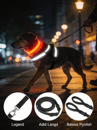 Walk Kit: LED Glow Collar + No-Pull Harness + Dual-Handle Leash Bundle